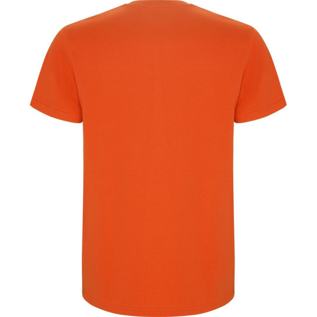 Roly Kinderen/kinderen stafford t-shirt UTLT5595_orange large Roly Kinderen/kinderen stafford t-shirt UTLT5595_orange large