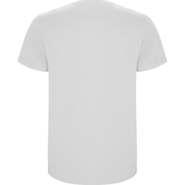 Roly Kinderen/kinderen stafford t-shirt UTLT5595_white large Roly Kinderen/kinderen stafford t-shirt UTLT5595_white large