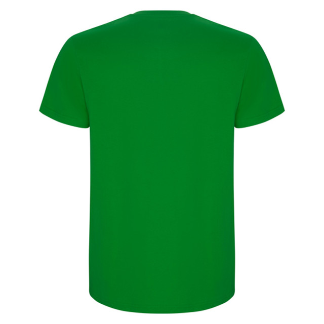 Roly Heren stafford t-shirt UTLT4839_grassgreen large