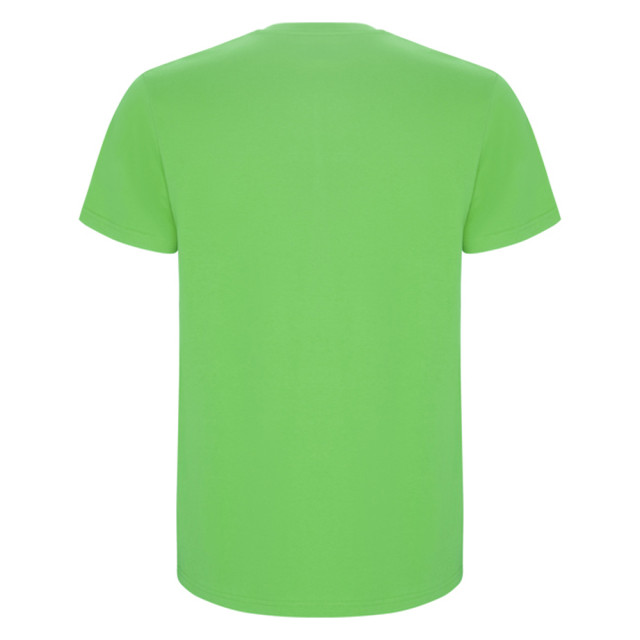 Roly Heren stafford t-shirt UTLT4839_oasisgreen large