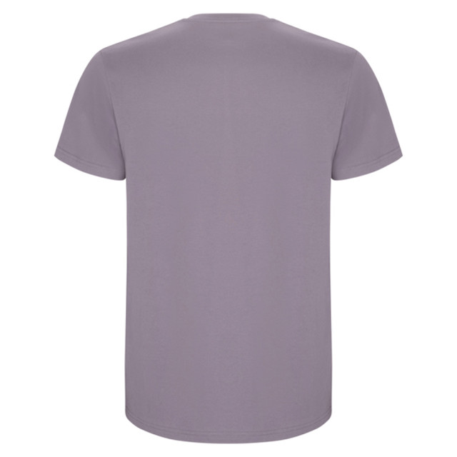 Roly Heren stafford t-shirt UTLT4839_lavender large