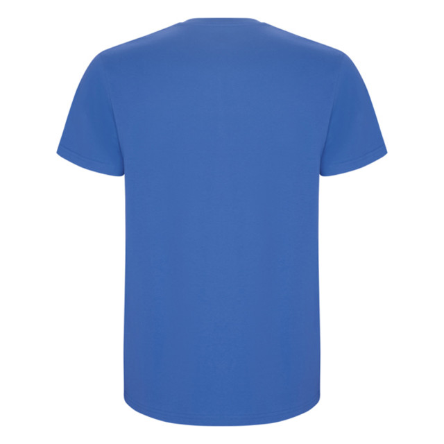 Roly Heren stafford t-shirt UTLT4839_rivierablue large