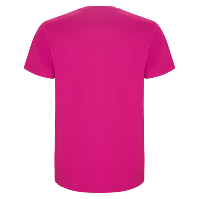 Roly Heren stafford t-shirt UTLT4839_rosette large