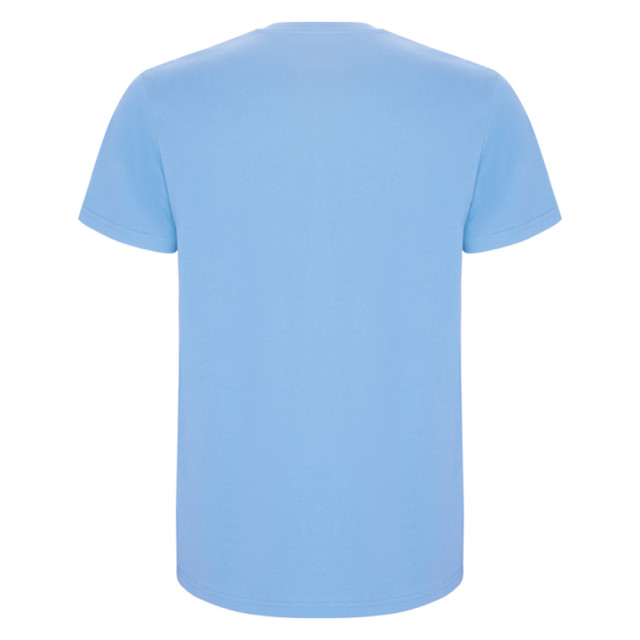 Roly Heren stafford t-shirt UTLT4839_skyblue large