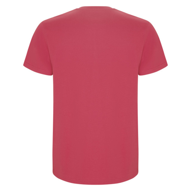 Roly Heren stafford t-shirt UTLT4839_chrysanthemumred large