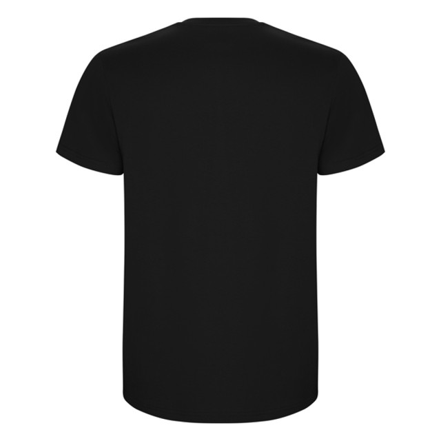 Roly Heren stafford t-shirt UTLT4839_black large