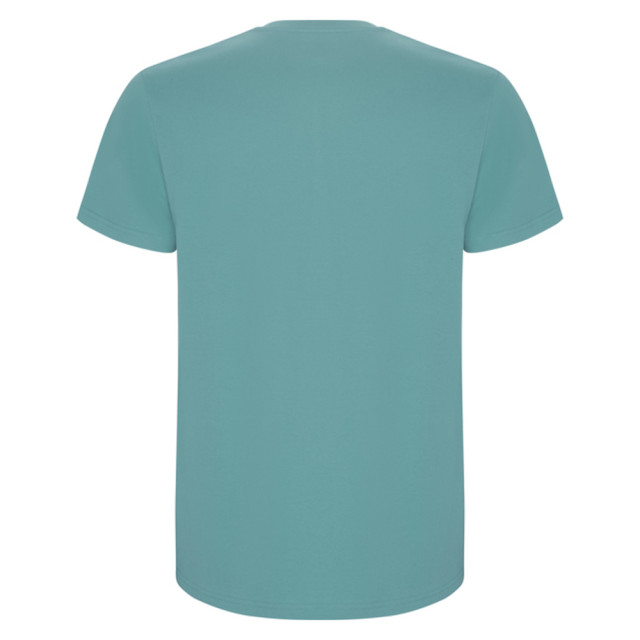 Roly Heren stafford t-shirt UTLT4839_dustyblue large
