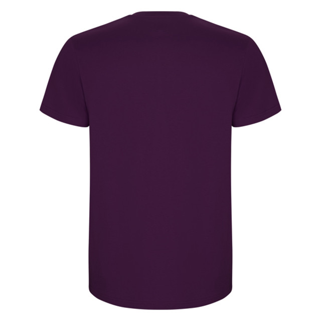Roly Heren stafford t-shirt UTLT4839_purple large