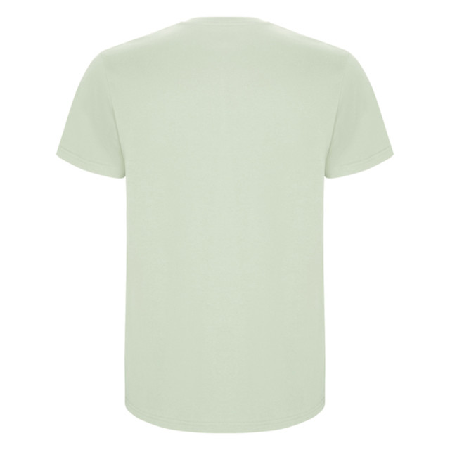 Roly Heren stafford t-shirt UTLT4839_mistgreen large