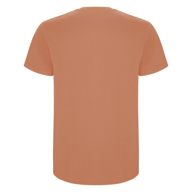 Roly Heren stafford t-shirt UTLT4839_greekorange large