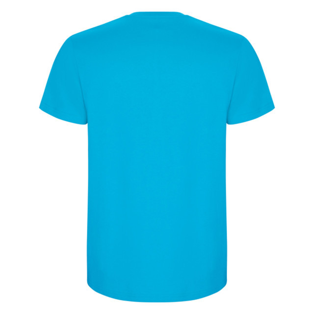 Roly Heren stafford t-shirt UTLT4839_turquoise large