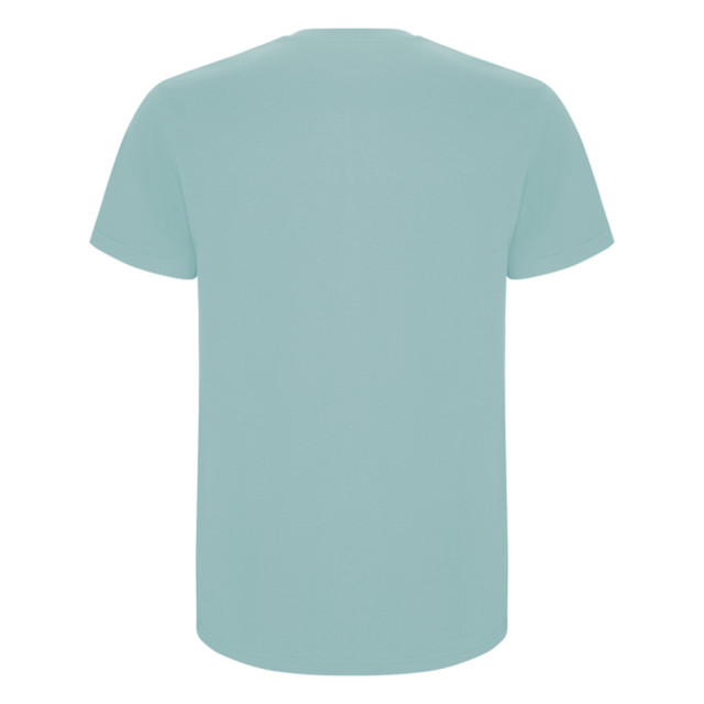 Roly Heren stafford t-shirt UTLT4839_washedblue large