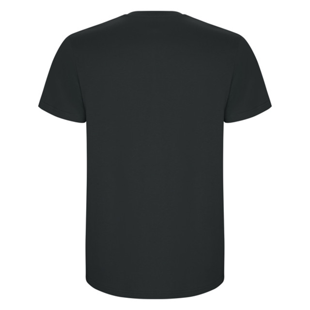 Roly Heren stafford t-shirt UTLT4839_darklead large