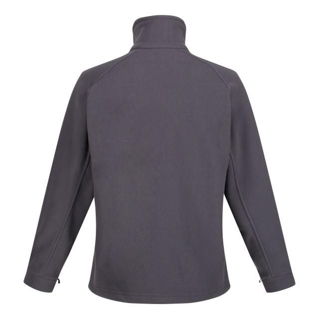Regatta Dames thor iii interactief fleecejack UTFK2283_sealgrey large