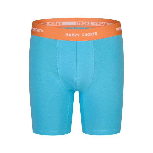Happy Shorts Heren boxershorts met lange pijpen boxer briefs 4-pack palms blauw HS-J-870+1186-LONG large