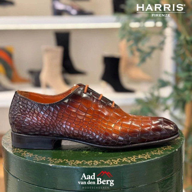 Harris Herenschoenen veterschoenen 2000-3 3077 large