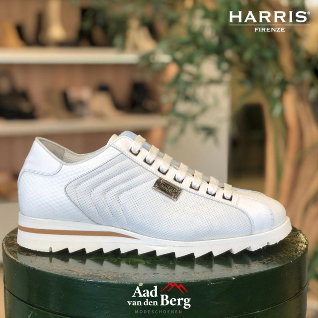 Harris Herenschoenen sneakers 2842 5339 large