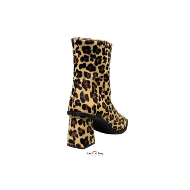 AvdB Damesschoenen enkellaarsjes 6984 698 large