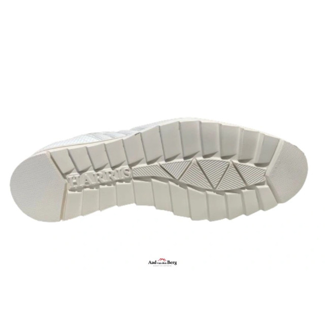 Harris Herenschoenen sneakers 2842 5339 large