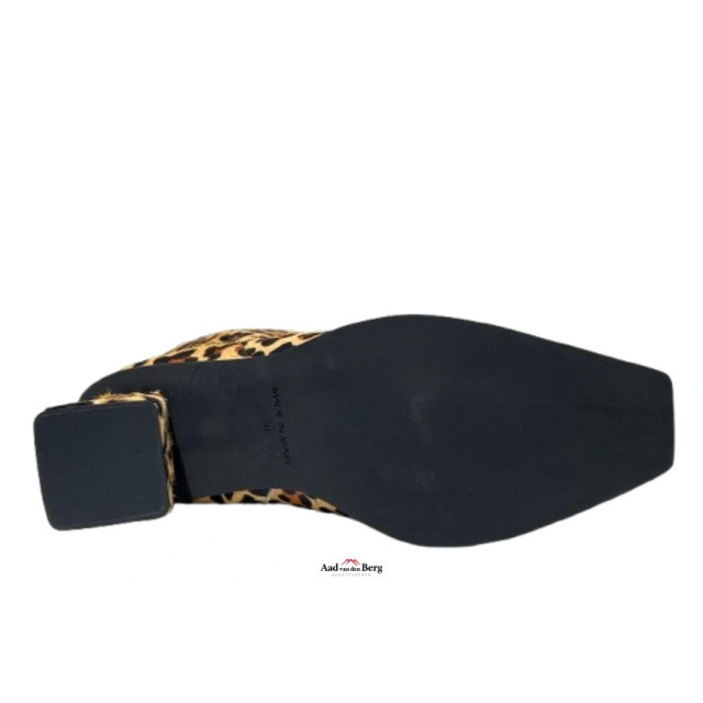 AvdB Damesschoenen enkellaarsjes 6984 698 large