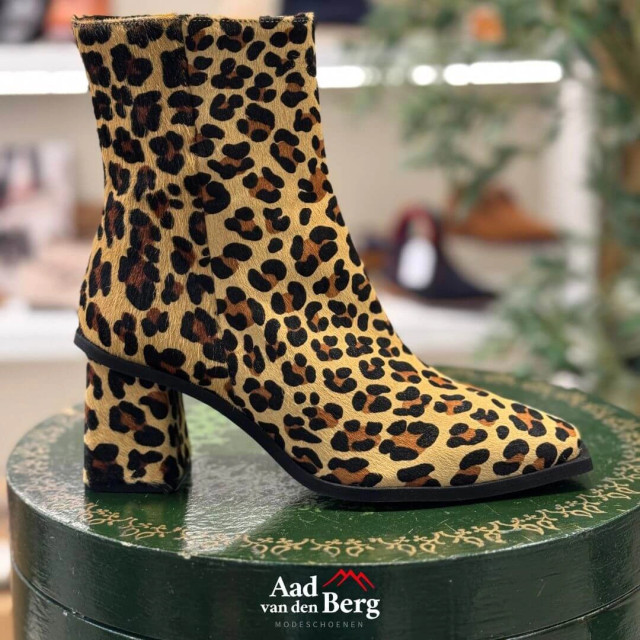 AvdB Damesschoenen enkellaarsjes 6984 698 large