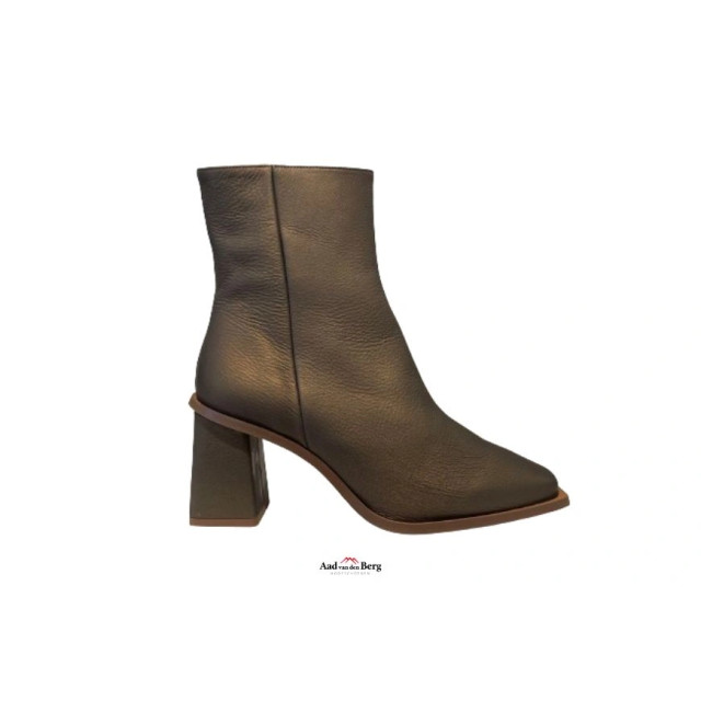 AvdB Damesschoenen enkellaarsjes 6984 698 large