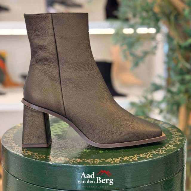 AvdB Damesschoenen enkellaarsjes 6984 698 large