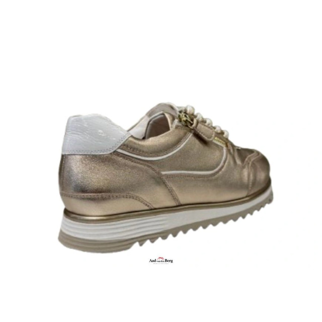 Hassia Damesschoenen sneakers 302041 Porto large Hassia Damesschoenen sneakers 302041 Porto large