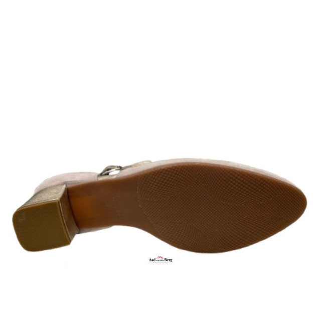 Hassia Damesschoenen pumps 304193 Capri large