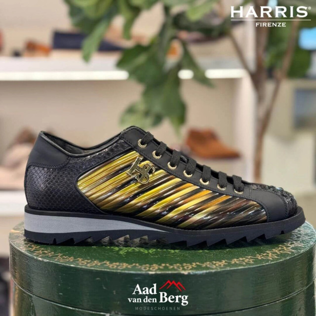Harris Herenschoenen sneakers Paul 22 2817 339 large