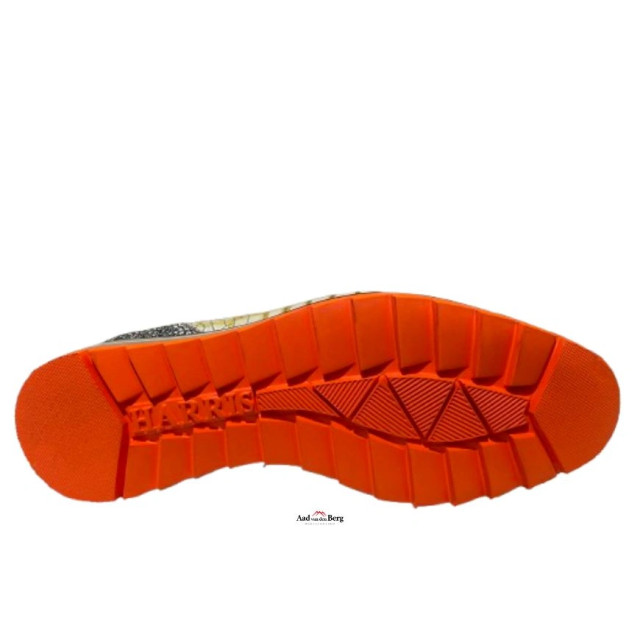 Harris Herenschoenen sneakers 2817 5339 large