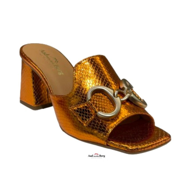 AvdB Damesschoenen slippers 42435 424 large