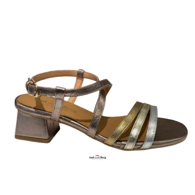 AvdB Damesschoenen sandalen 1921 279 large