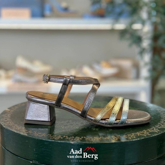 AvdB Damesschoenen sandalen 1921 279 large