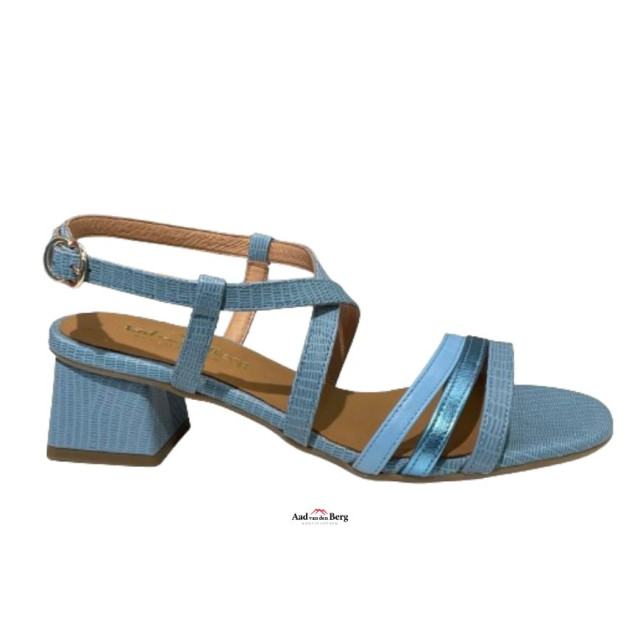 AvdB Damesschoenen sandalen 1921 279 large