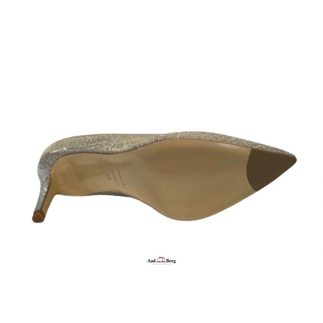 Nalini Damesschoenen pumps 22e136t 458 large