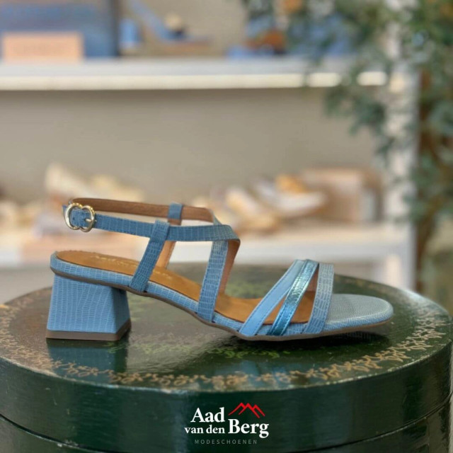 AvdB Damesschoenen sandalen 1921 279 large