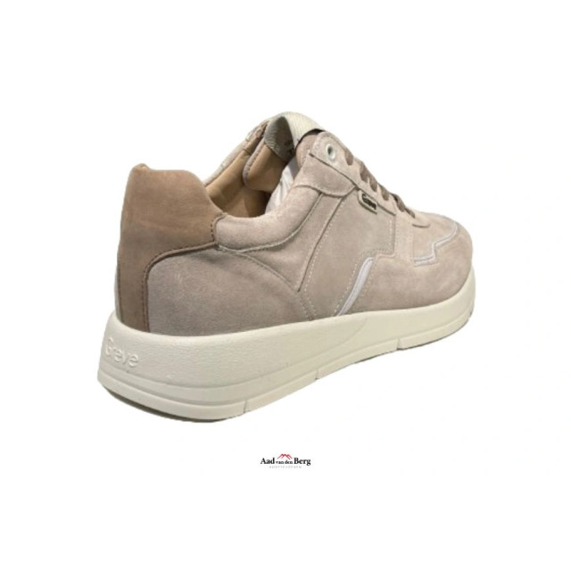 Greve Herenschoenen sneakers 7280.03 Walker large