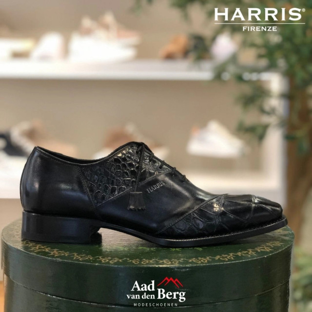 Harris Herenschoenen veterschoenen Adam 5883 large
