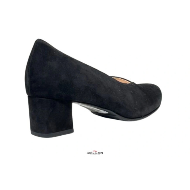 Hassia Damesschoenen pumps 304936 Florenz large