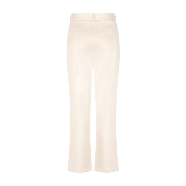 Zoso Broek merle 251 251MERLE large Zoso Broek merle 251 251MERLE large