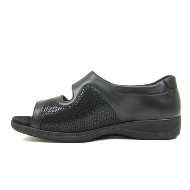 Solidus 73501 73501 Lia large
