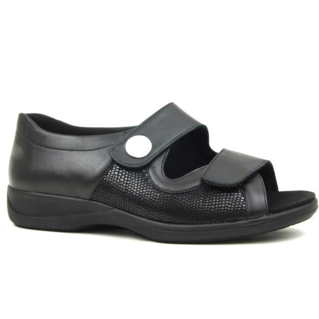 Solidus 73501 73501 Lia large