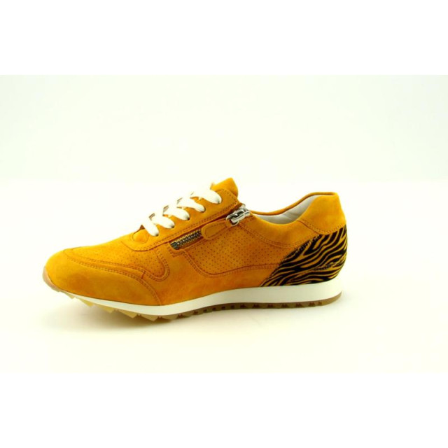 Hassia 9-301917 wijdte h 9-301917 wijdte H large