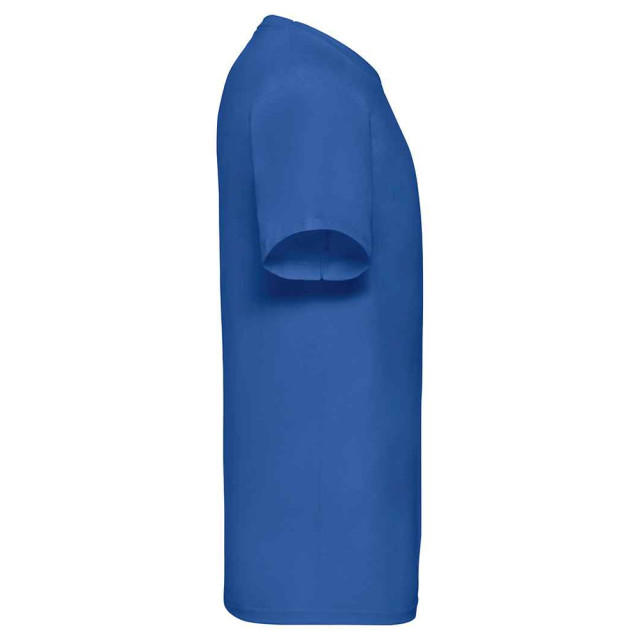 Fruit of the Loom Unisex adult waardevol v hals t-shirt UTLT2574_royalblue large