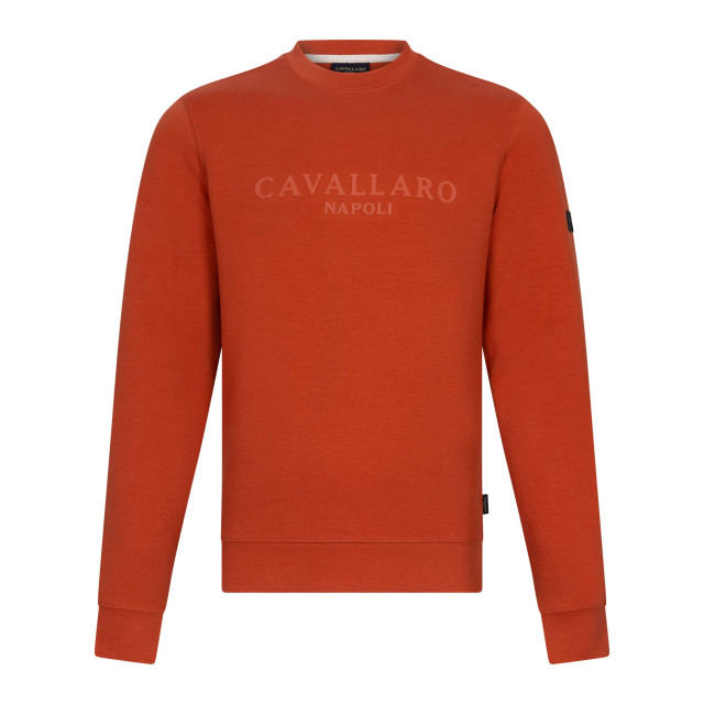 Cavallaro Celio r sweaters 120251000 120251000 large