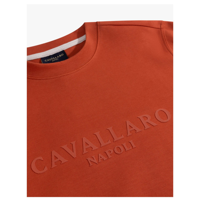 Cavallaro Celio r sweaters 120251000 120251000 large