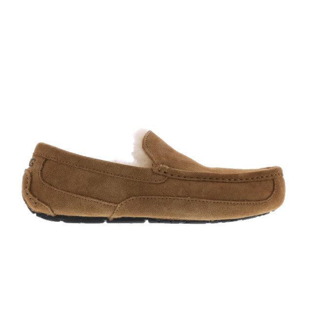 UGG Australia Heren ascot 1101110-CHE large