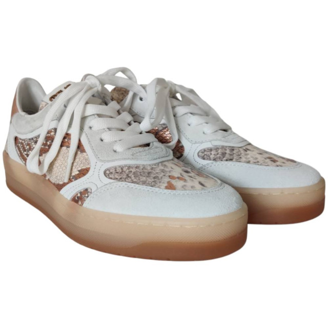 Mjus T66102 sneaker T66102 large