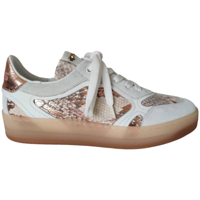 Mjus T66102 sneaker T66102 large